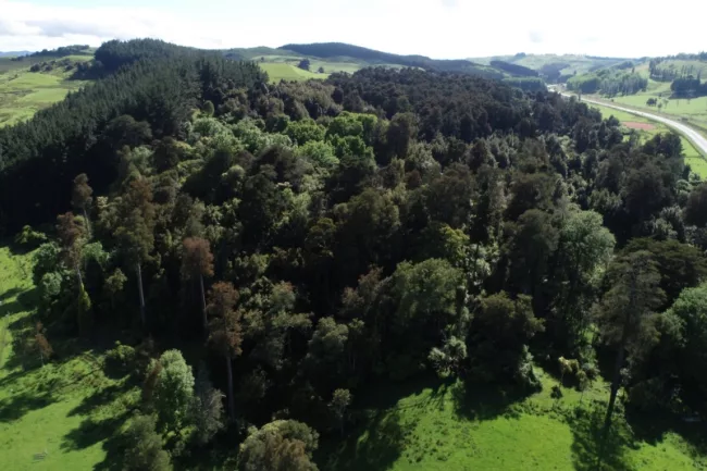 Aerial view of Bruce Park