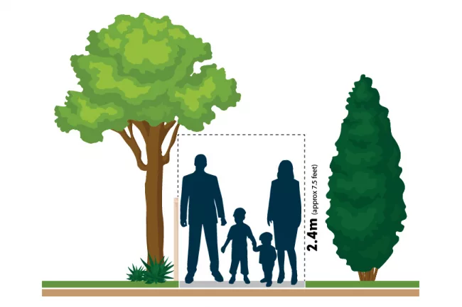 Overhanging vegetation illustration