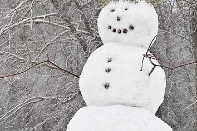 800Px Auburn Alabama Snowman 2009