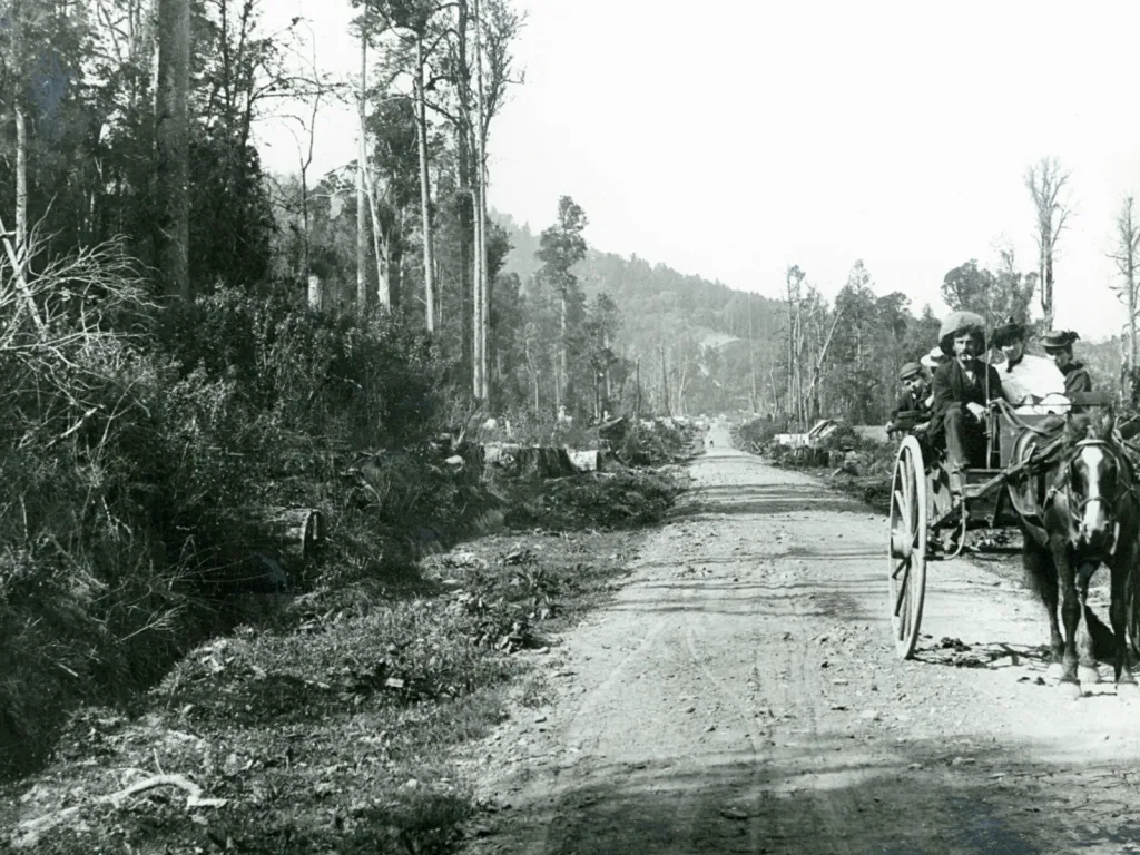 A black and white image of a horse and cart on a road, with forestry work happening on either side of the road.