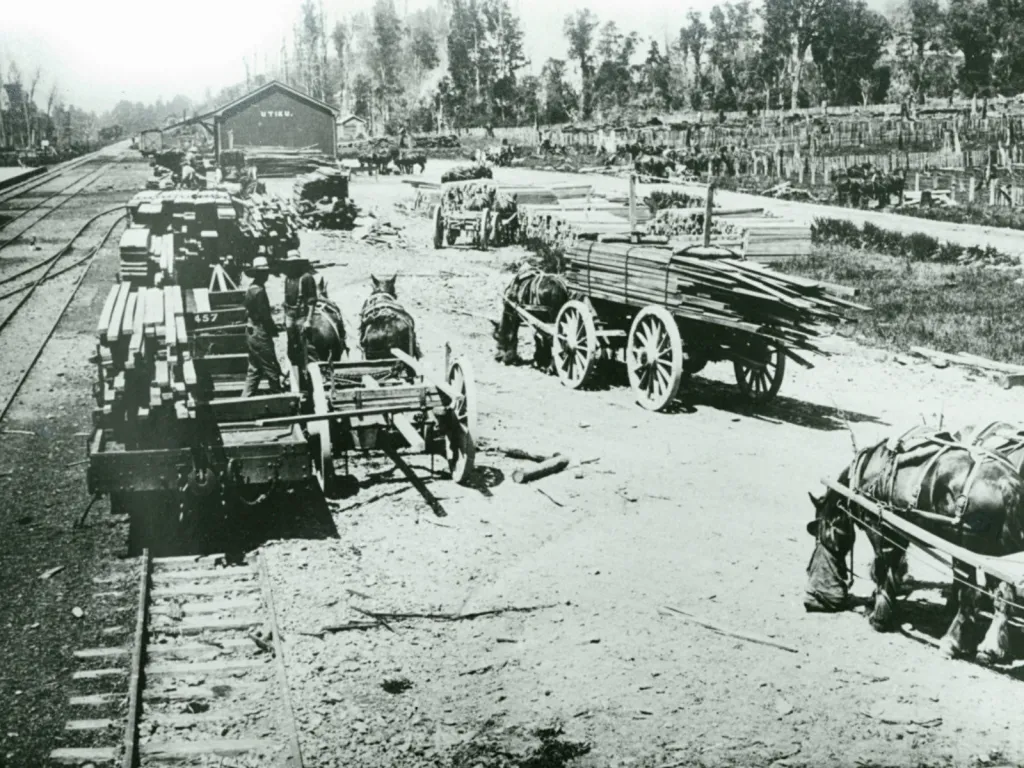 A black and white photo from Utiku Railway Station, with a wagon being loaded on the rail yard.