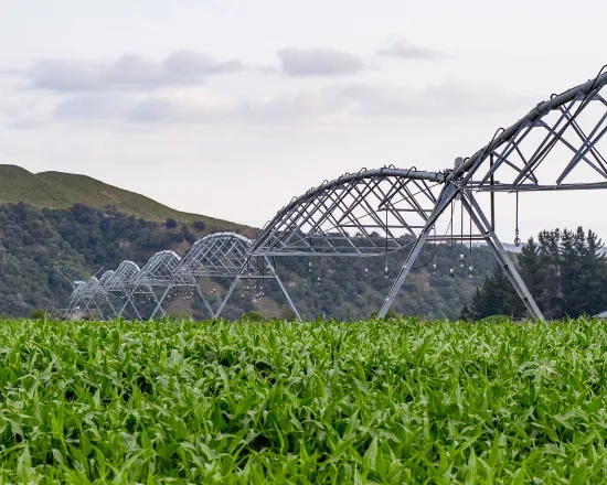 Rangitikei Tomorrow Economic Strategy Plan Webcard