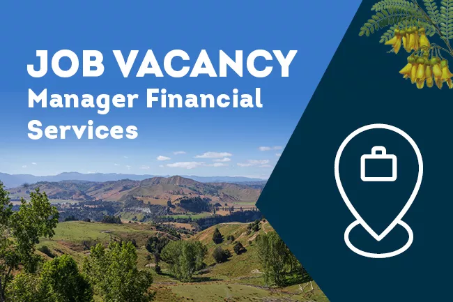 Job Vacancies Manager Financial Services