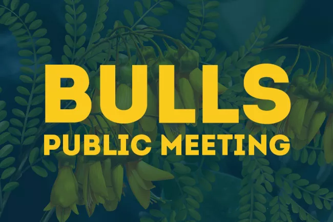 Bulls Public Meeting News Image