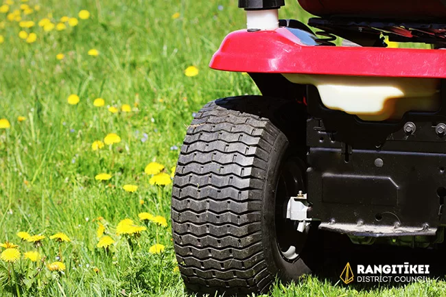 Lawn mowing News Image