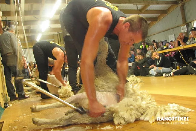 Shearing Sports News Image