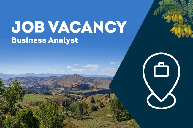 Job Vacancies News Image Business Analyst